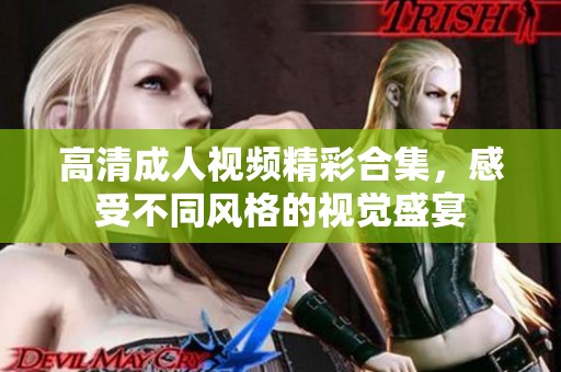 高清成人视频精彩合集，感受不同风格的视觉盛宴