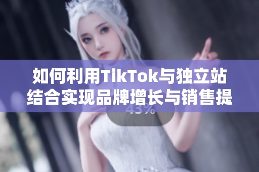 如何利用TikTok与独立站结合实现品牌增长与销售提升