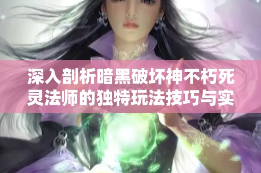 深入剖析暗黑破坏神不朽死灵法师的独特玩法技巧与实用攻略指南