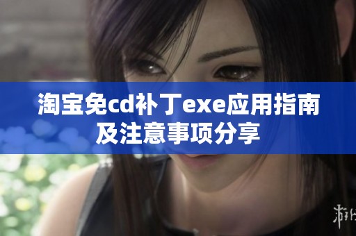 淘宝免cd补丁exe应用指南及注意事项分享