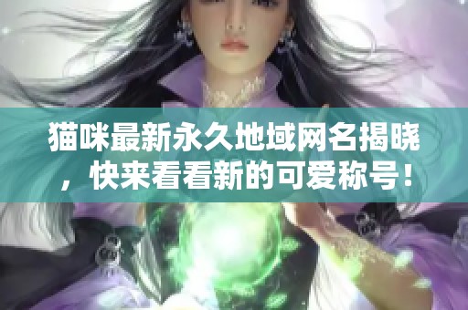 猫咪最新永久地域网名揭晓，快来看看新的可爱称号！