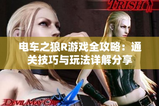 电车之狼R游戏全攻略：通关技巧与玩法详解分享