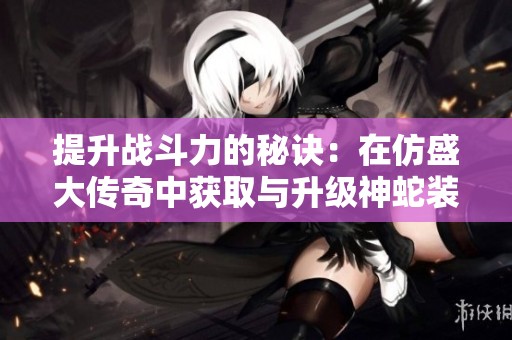 提升战斗力的秘诀：在仿盛大传奇中获取与升级神蛇装备的一站式指南