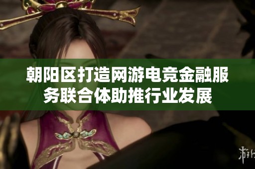 朝阳区打造网游电竞金融服务联合体助推行业发展