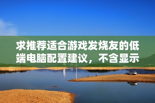 求推荐适合游戏发烧友的低端电脑配置建议，不含显示器在内