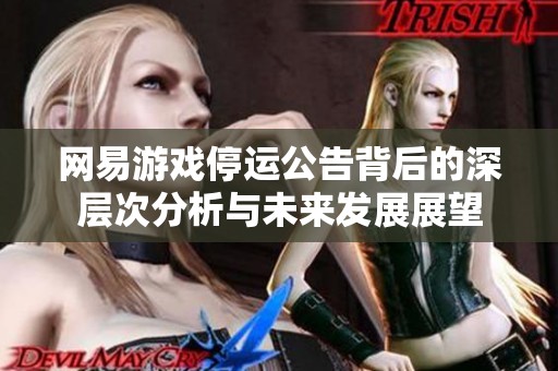 网易游戏停运公告背后的深层次分析与未来发展展望