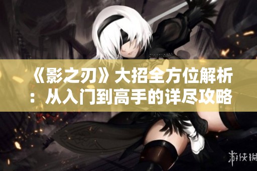 《影之刃》大招全方位解析：从入门到高手的详尽攻略指南