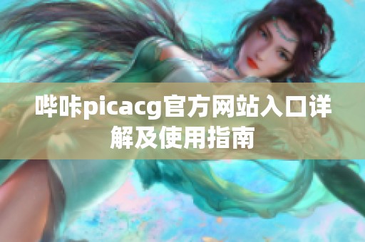 哔咔picacg官方网站入口详解及使用指南