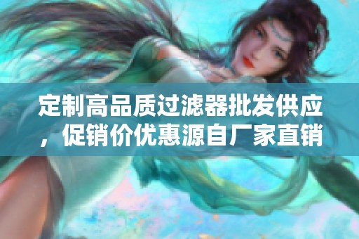 定制高品质过滤器批发供应，促销价优惠源自厂家直销