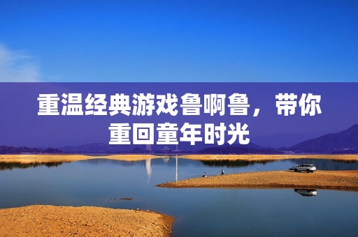 重温经典游戏鲁啊鲁，带你重回童年时光