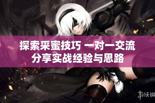 探索采蜜技巧 一对一交流分享实战经验与思路